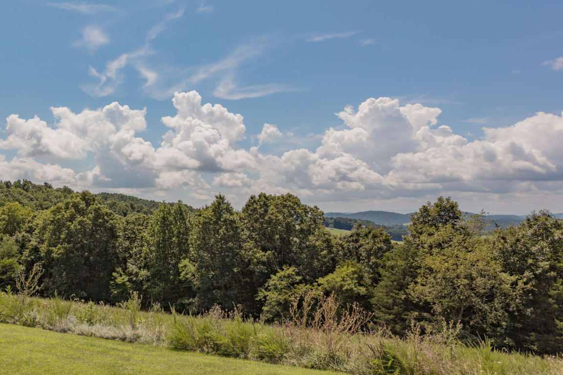 1236 Dutch Hollow Road Raphine, VA 24472 - Photo 14 of 45 a view of a bunch of trees in a yard