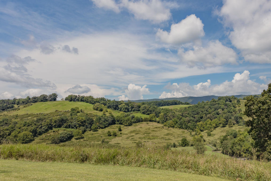 1236 Dutch Hollow Road Raphine, VA 24472 - Photo 9 of 45 a view of a city and mountain