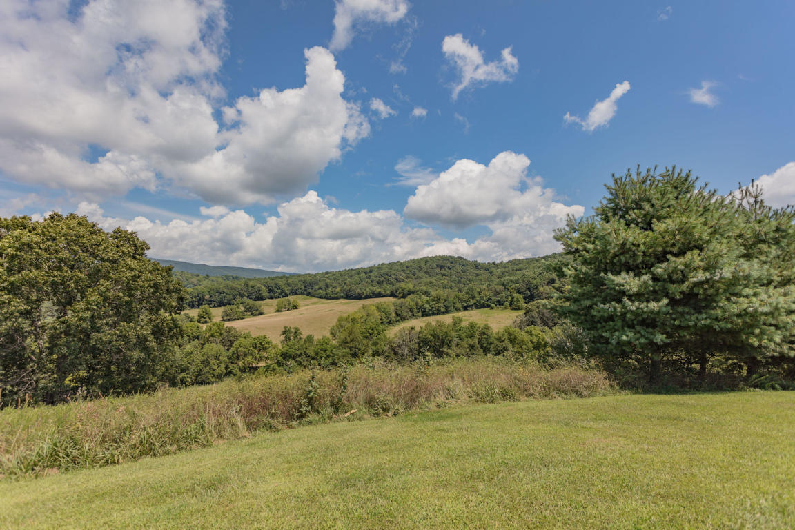 1236 Dutch Hollow Road Raphine, VA 24472 - Photo 10 of 45 a view of a lake in middle of forest