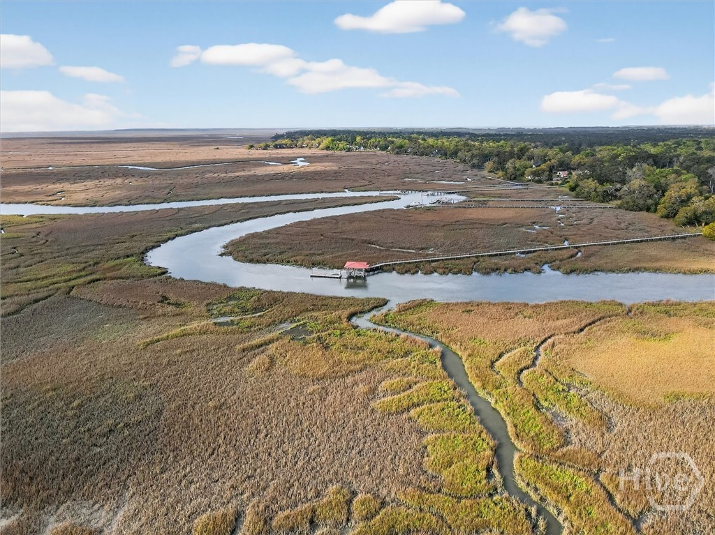 725 Youman's Road Midway, GA 31320 - Photo 61 of 71