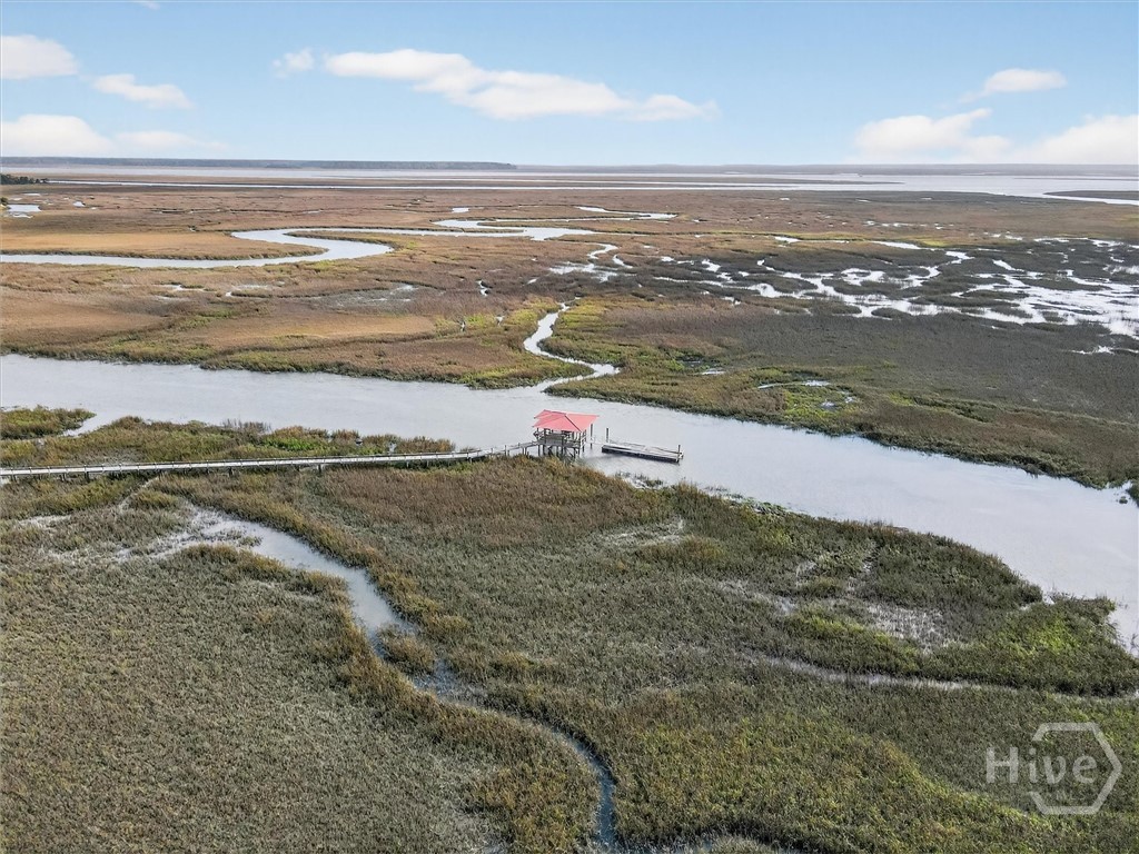 725 Youman's Road Midway, GA 31320 - Photo 65 of 71