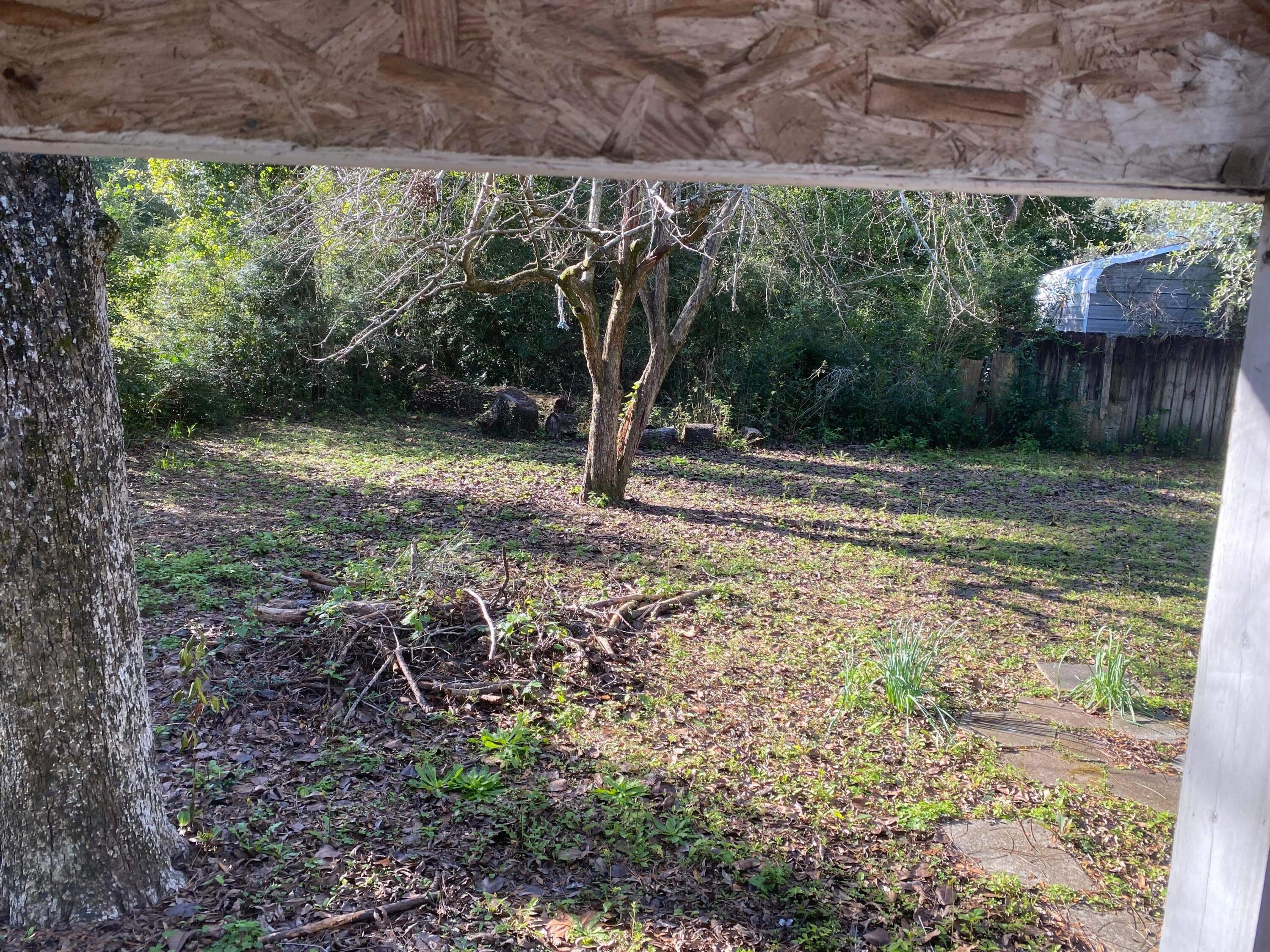 145 Live Oak Avenue West DeFuniak Springs, FL 32435 - Photo 22 of 25 a view of a backyard with large trees