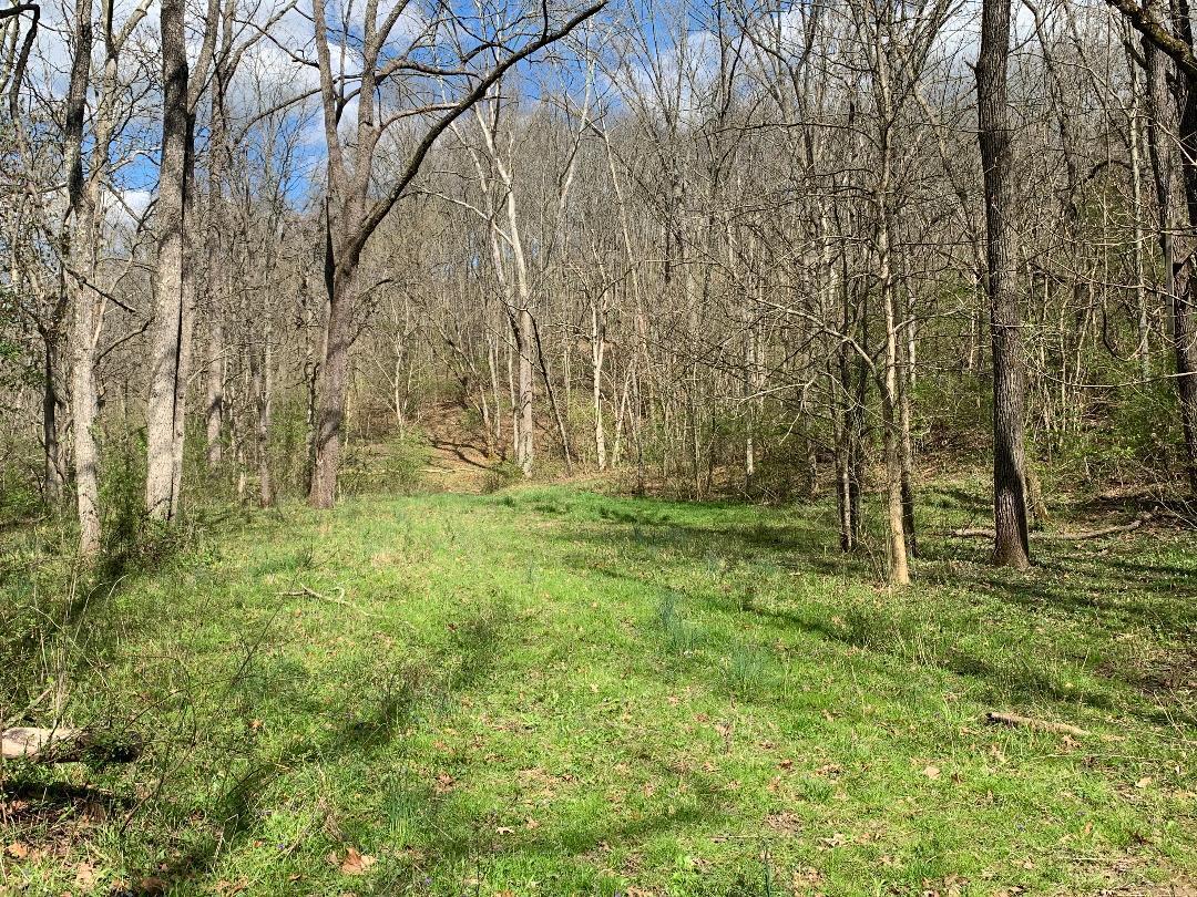 800 Eckler Road Dry Ridge, KY 41035 - Photo 3 of 50