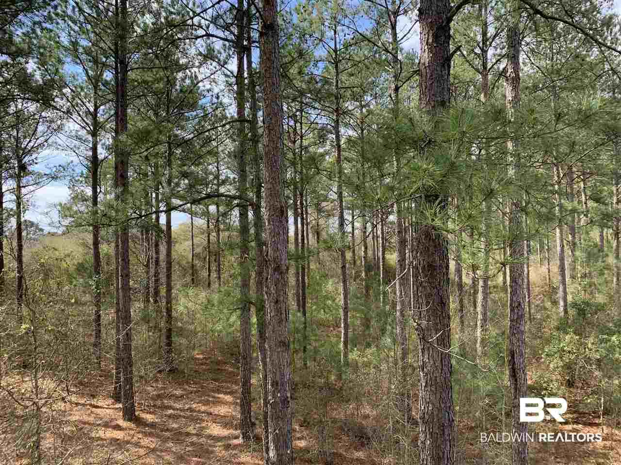 0 Sexton Brg Road Luverne, AL 36049 - Photo 5 of 50