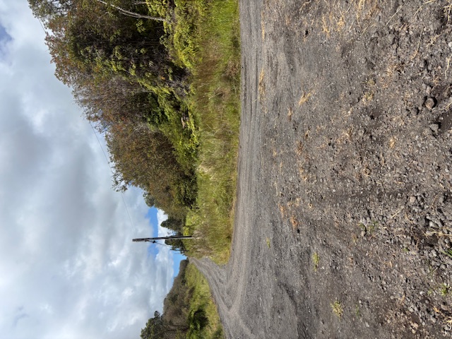 123 North Glenwood Road Mountain View, HI 96771 - Photo 2 of 7