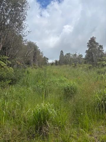 $205,000 | 123 North Glenwood Road, Mountain View, HI 96771