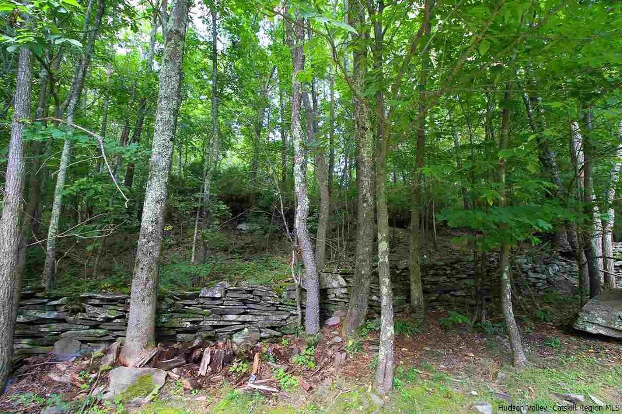 41 Denver Run Spur Roxbury, NY 12421 - Photo 24 of 27