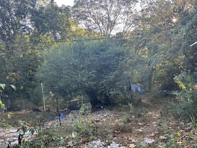 $50,000 | 110 Manners Road, Dover, TN 37058