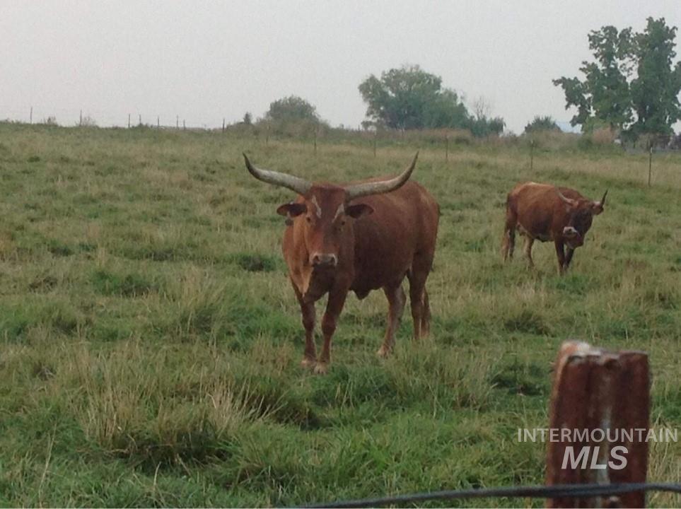 20110 Purple Sage Road Notus, ID 83656 - Photo 22 of 23