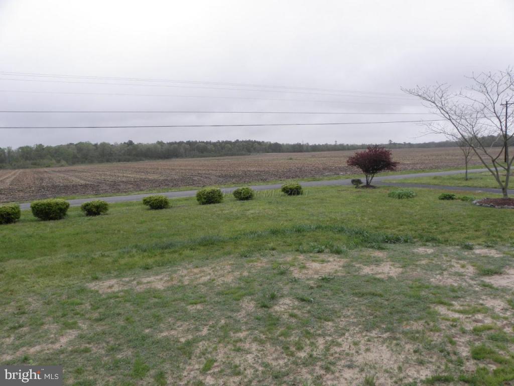 33071 Melson Road Delmar, MD 21875 - Photo 29 of 34