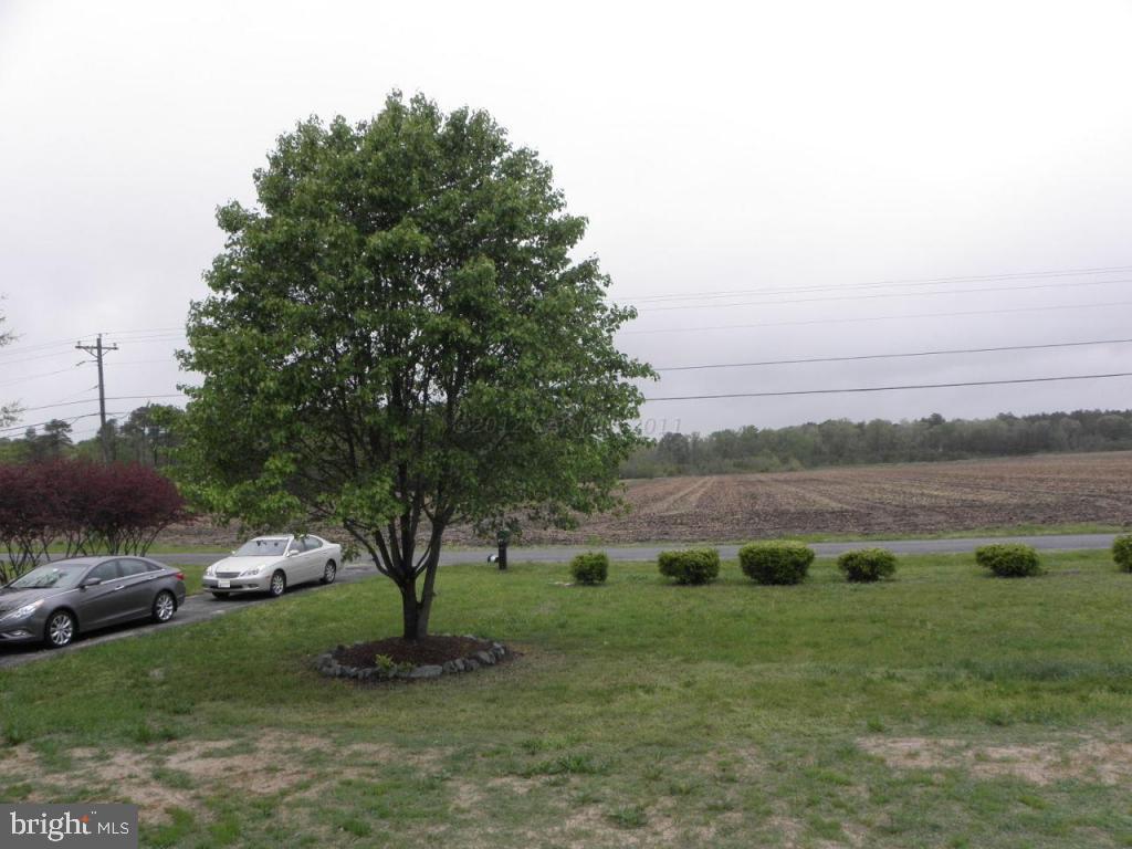 33071 Melson Road Delmar, MD 21875 - Photo 30 of 34