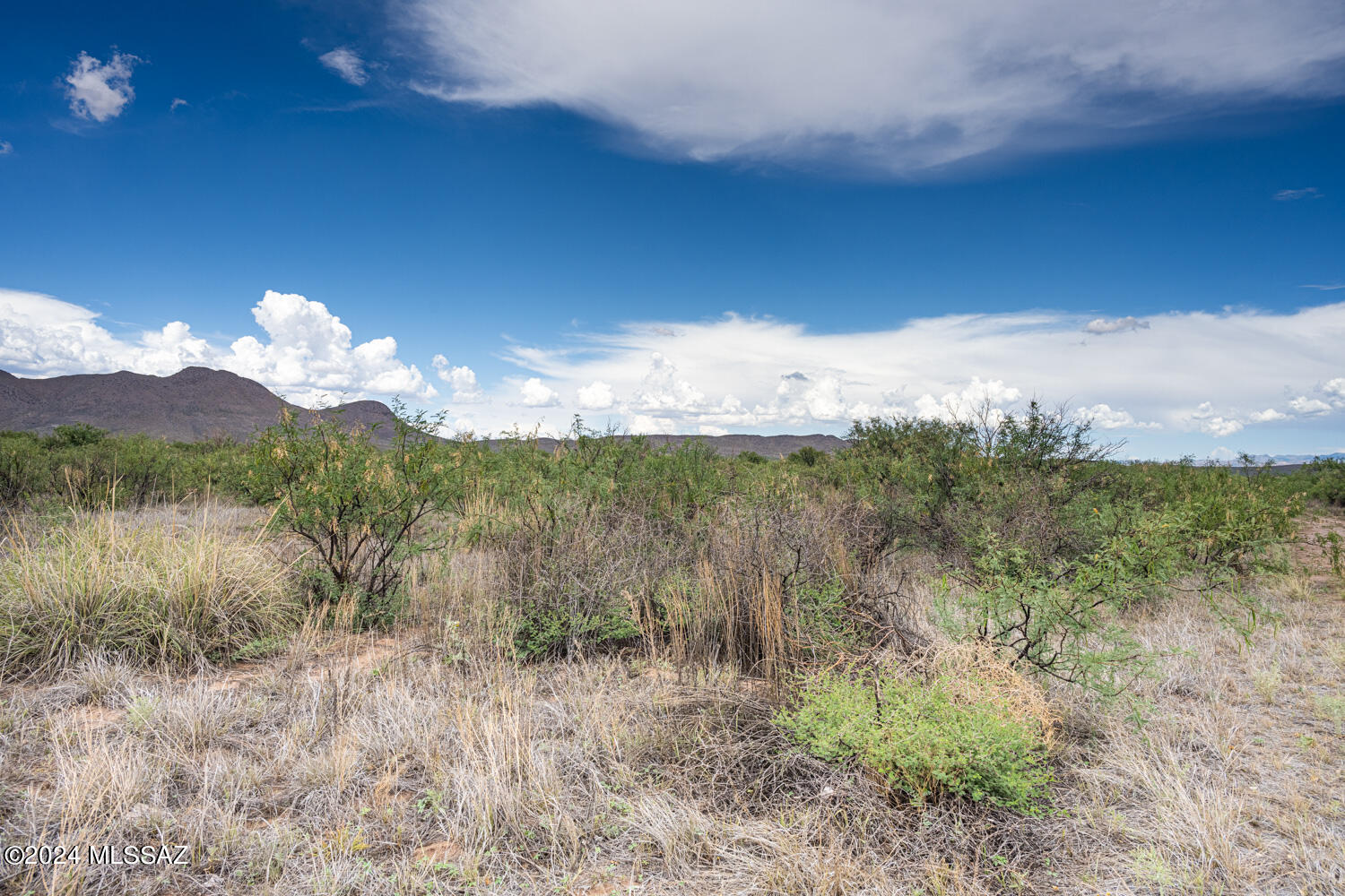5-acres East Fawn Ranch Road Pearce, AZ 85625 - Photo 8 of 16