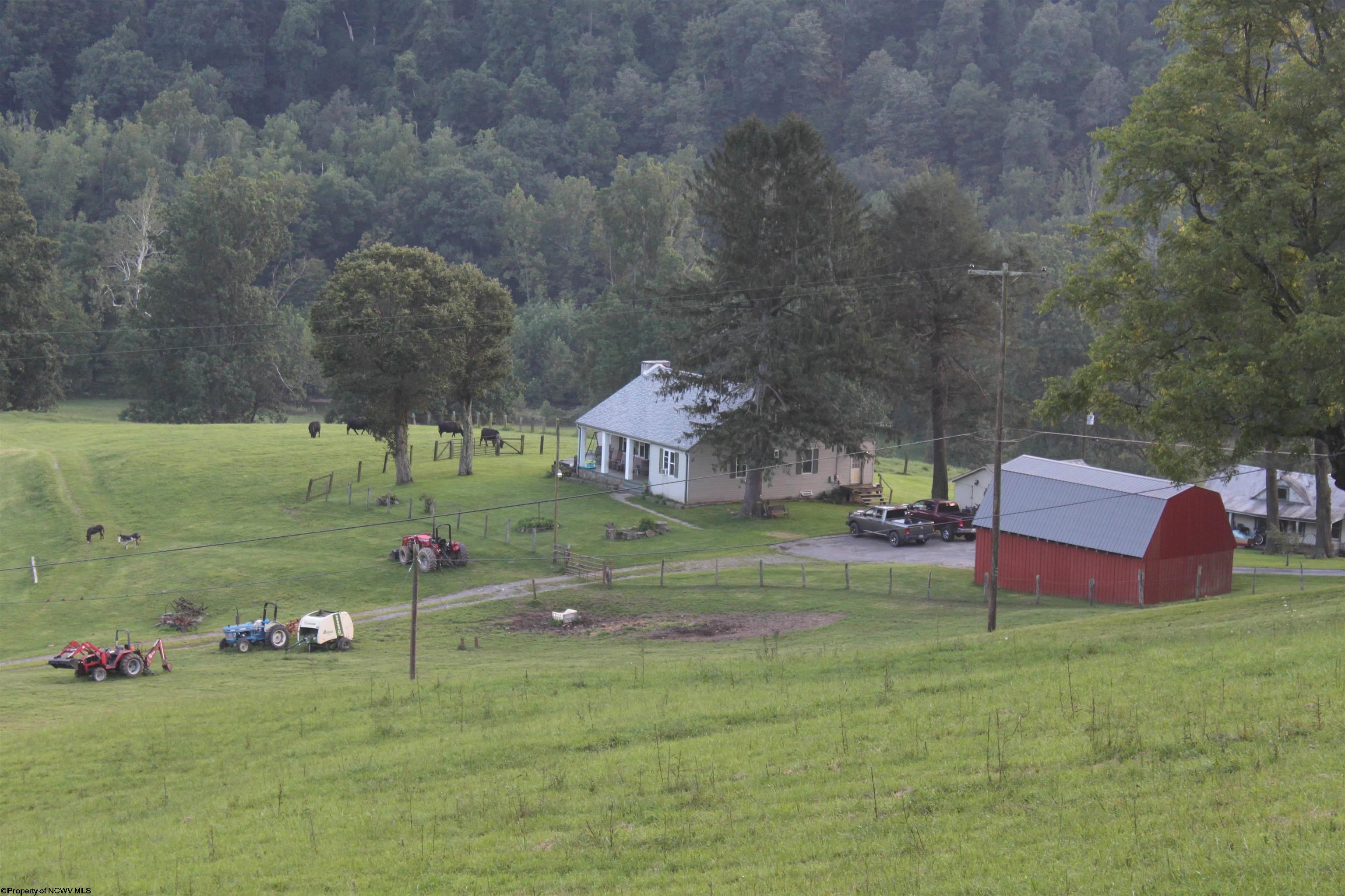 770 Bergoo Road Webster Springs, WV 26288 - Photo 43 of 43 Gallery Image 43