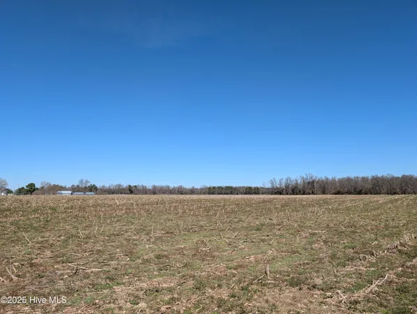 $240,000 | 0 Cedar Fork Road, Beulaville, NC 28518