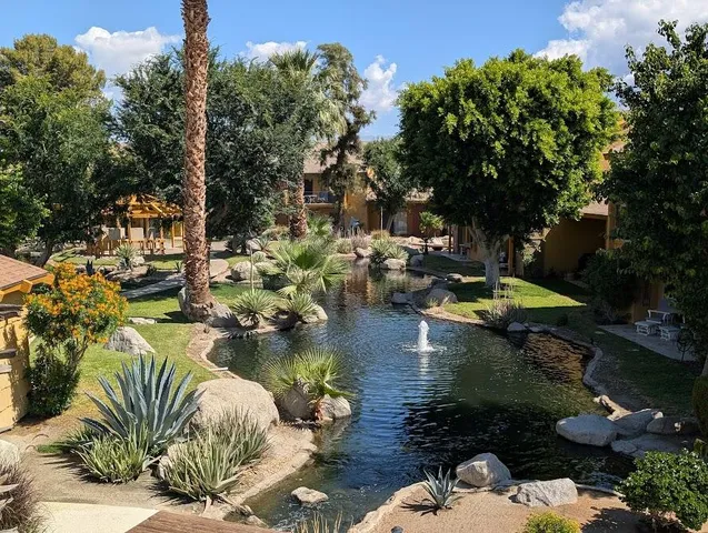 a view of swimming pool with outdoor seating and plants