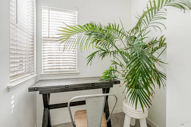 a view of a house with a potted plant and a chair