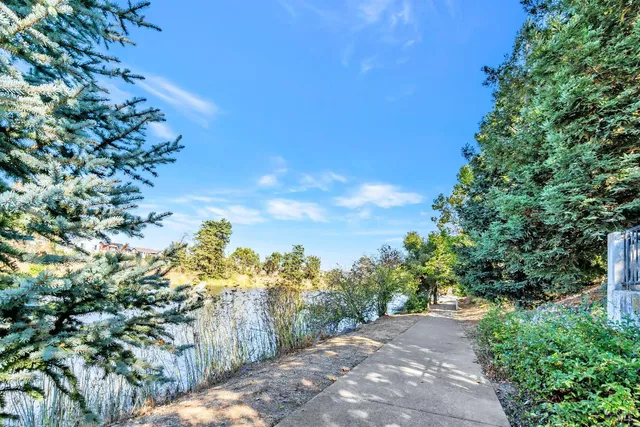 a view of a yard with plants and tree