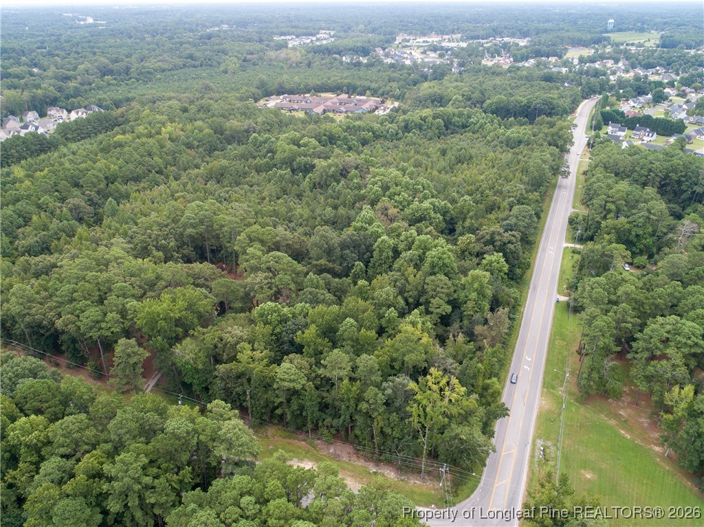 a view of a forest with a street
