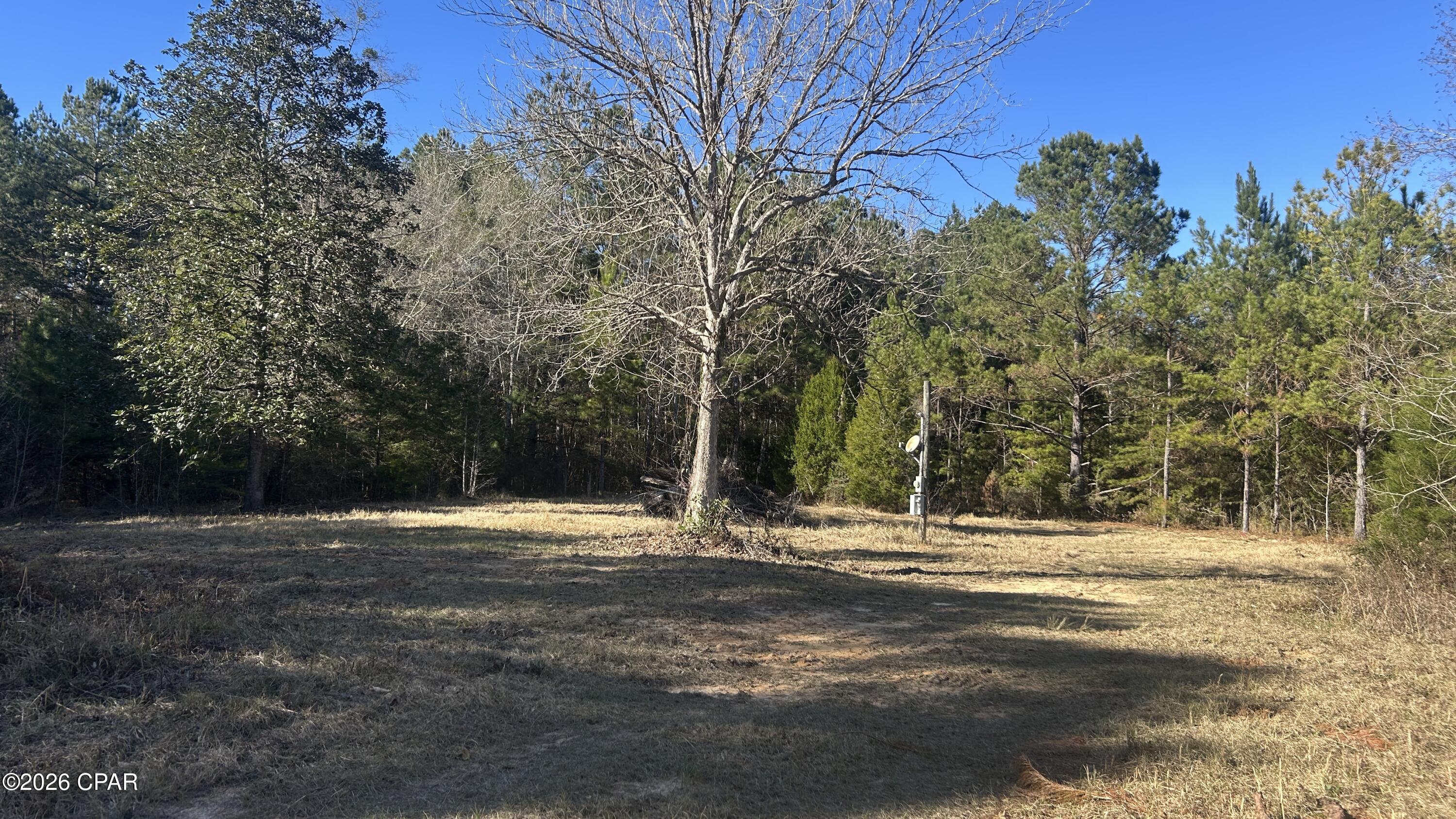 660 White Creek Road Ponce de Leon, FL 32455 - Photo 12 of 40
