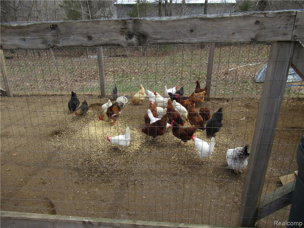43591 Arkona Road New Boston, MI 48164 - Photo 16 of 25 IMG_5506.JPG