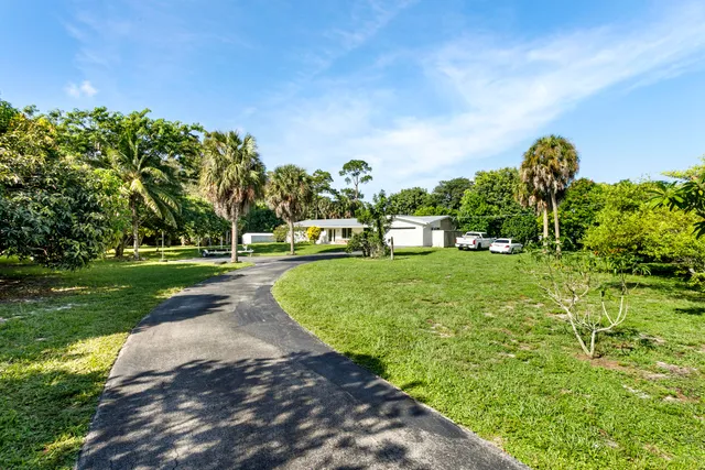 a view of a park with large trees