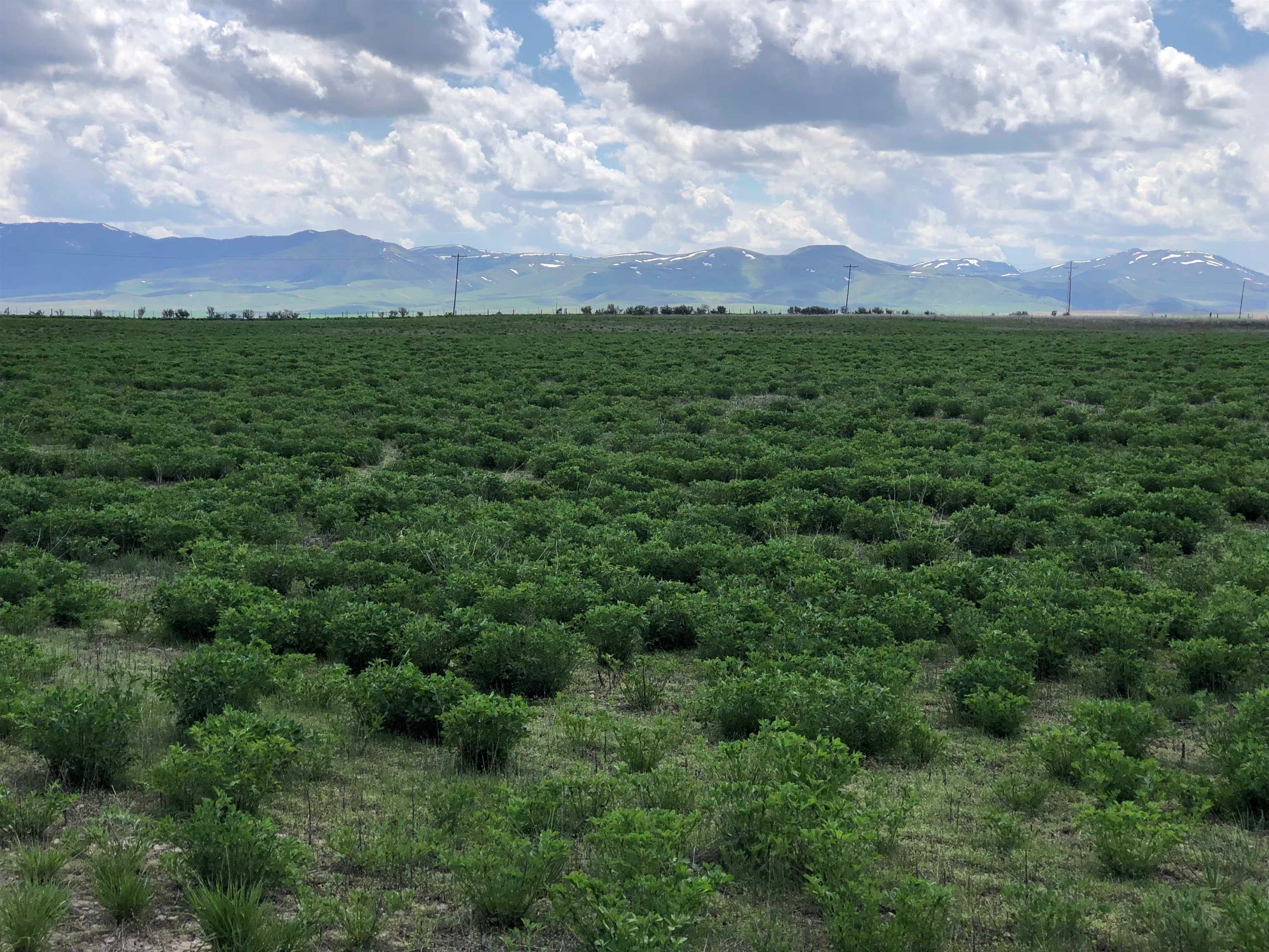 Tbd Parcel C East Sublette Road Arimo, ID 83214 - Photo 1 of 1 Gallery Image 1