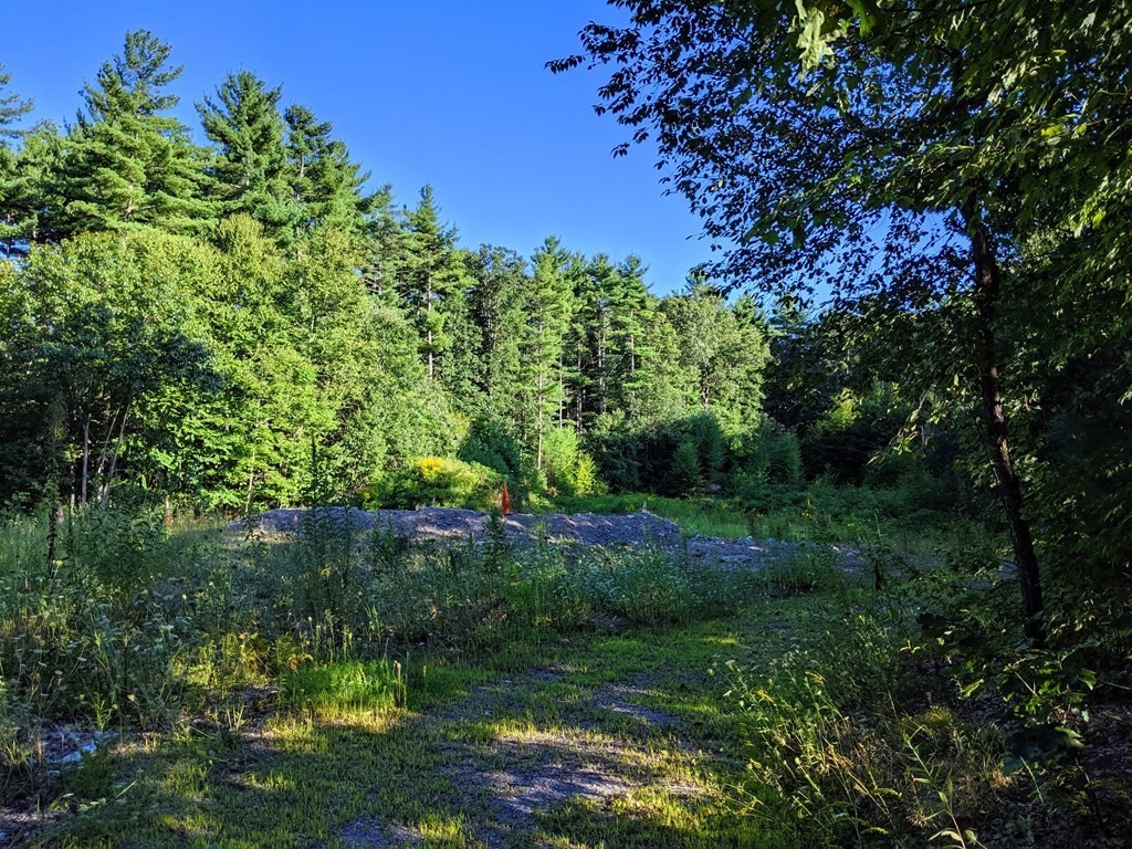 56 Burrage Road Shirley, MA 01464 - Photo 1 of 1
