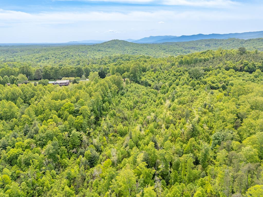 Tbd Ahart Ridge Road, Unit 58 60 61 Ararat, VA 24053 - Photo 4 of 54 Gallery Image 4