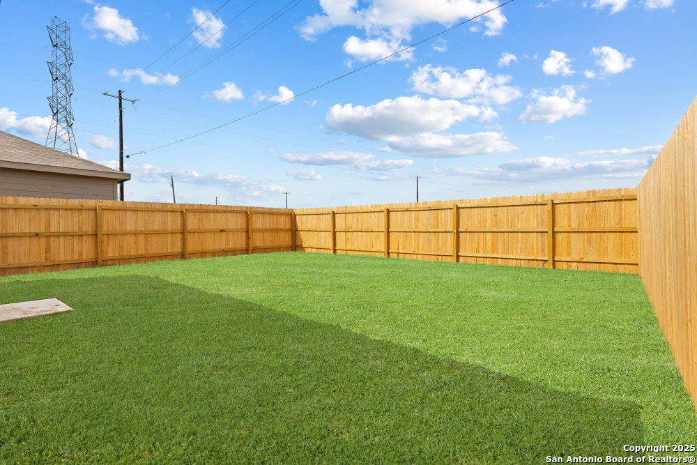 5724 Mangas Circle Seguin, TX 78155 - Photo 17 of 17 a view of a backyard