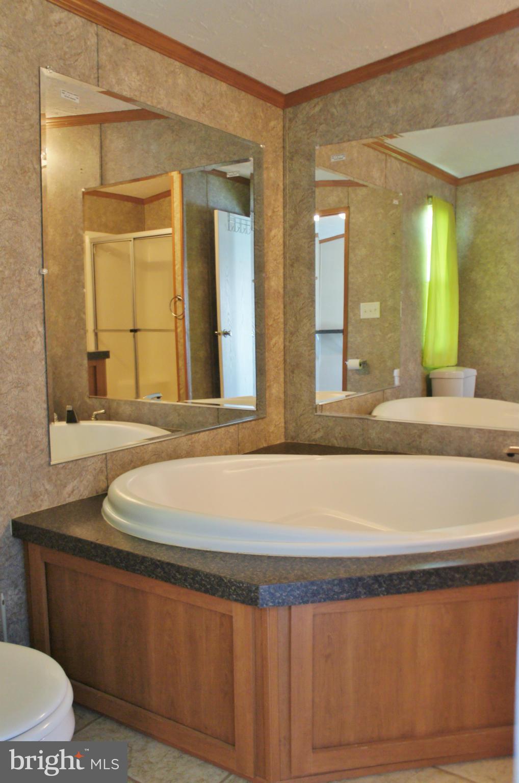 118 German Chapel Road Prince Frederick, MD 20678 - Photo 11 of 27 a bathroom with a sink and a mirror