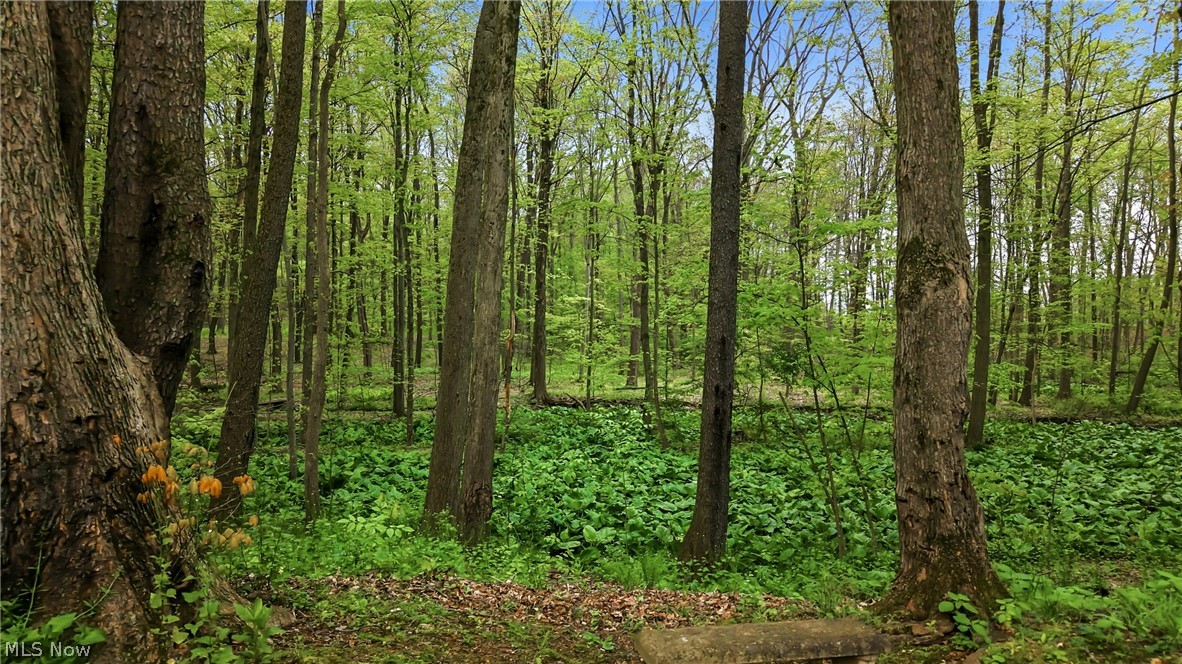 13689 Beard Road New Springfield, OH 44443 - Photo 10 of 48