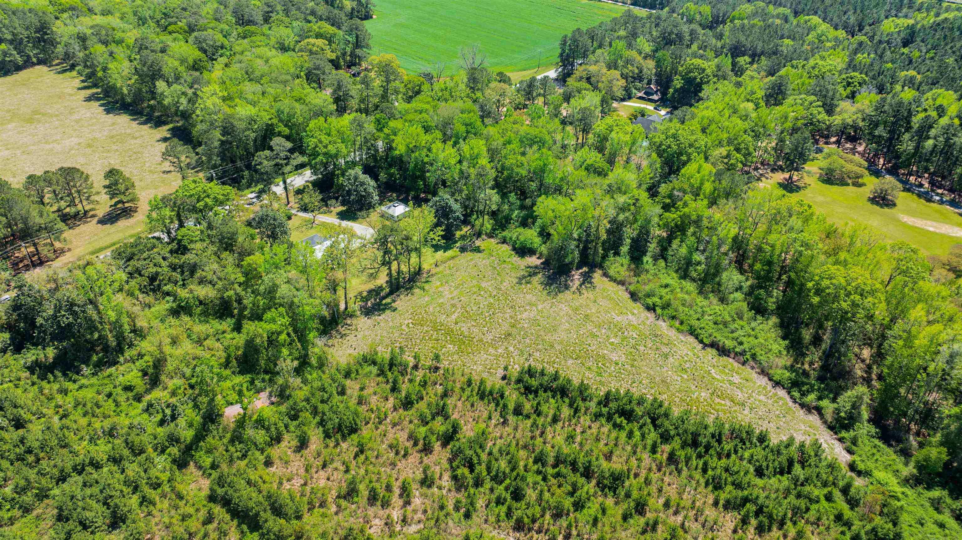 4820 Highway 701 Conway, SC 29527 - Photo 43 of 45