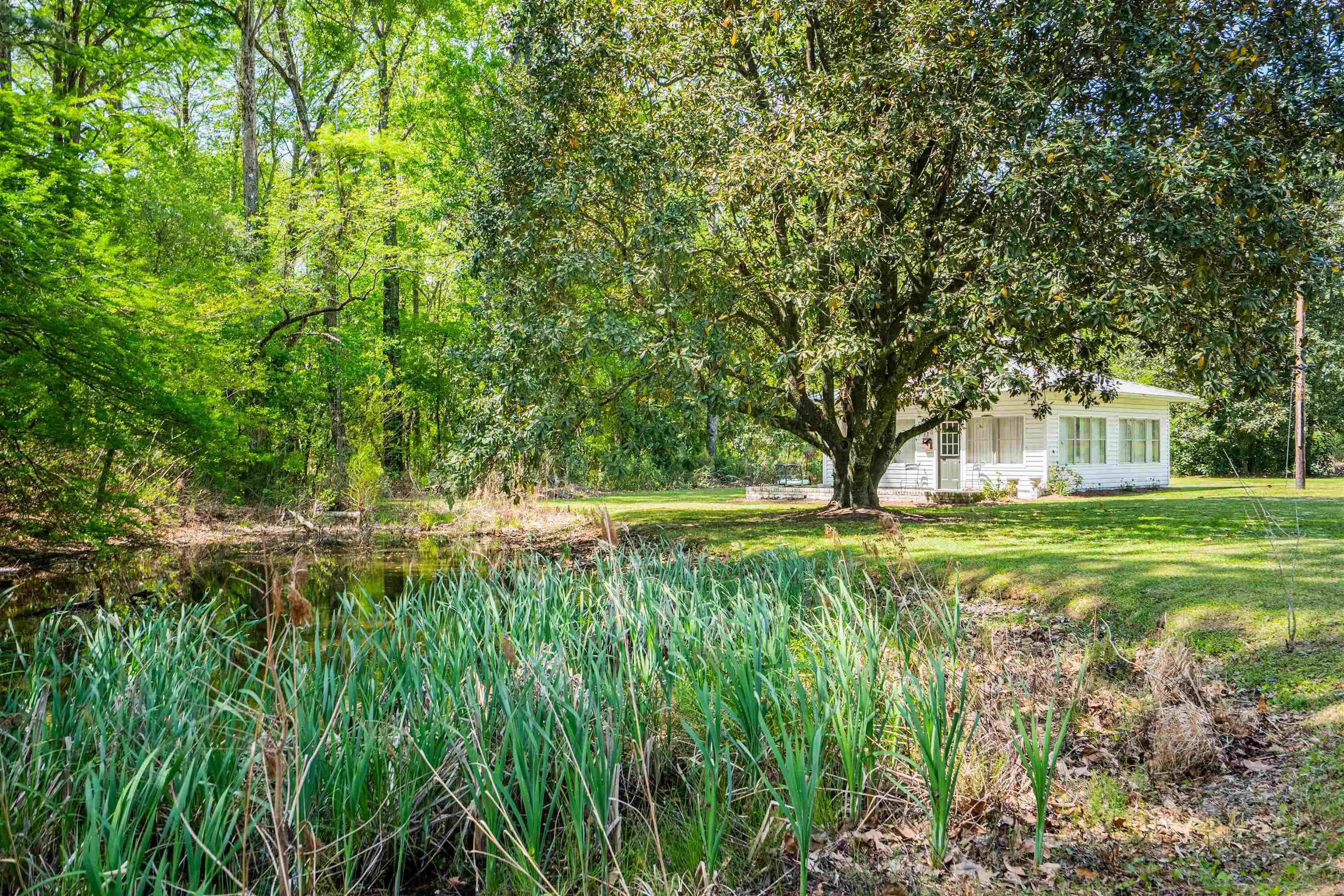 4820 Highway 701 Conway, SC 29527 - Photo 44 of 45