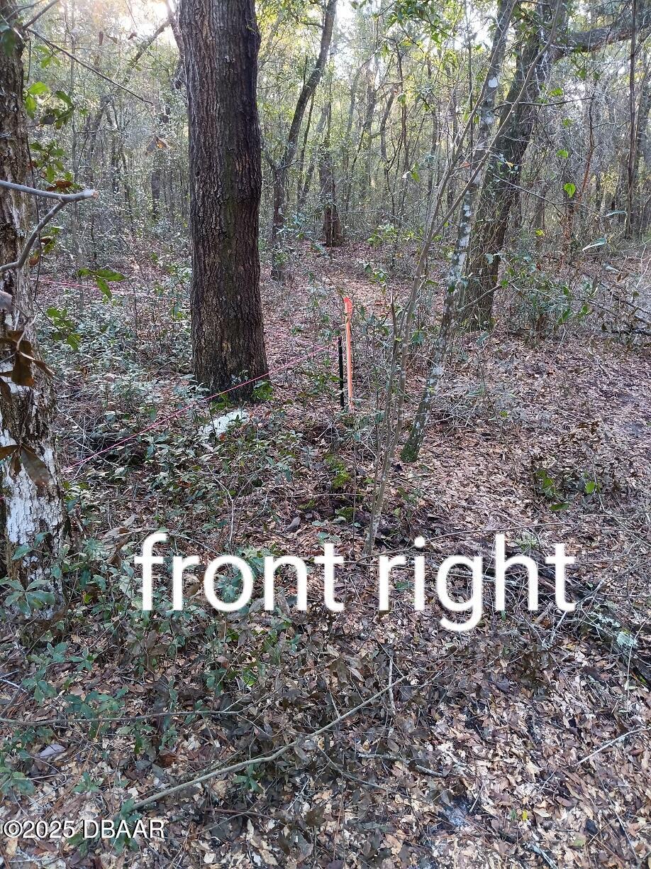 112 Peach Orchard Road Pomona Park, FL 32181 - Photo 11 of 13 a view of yard