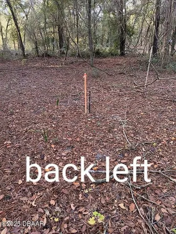 a view of a backyard with of trees