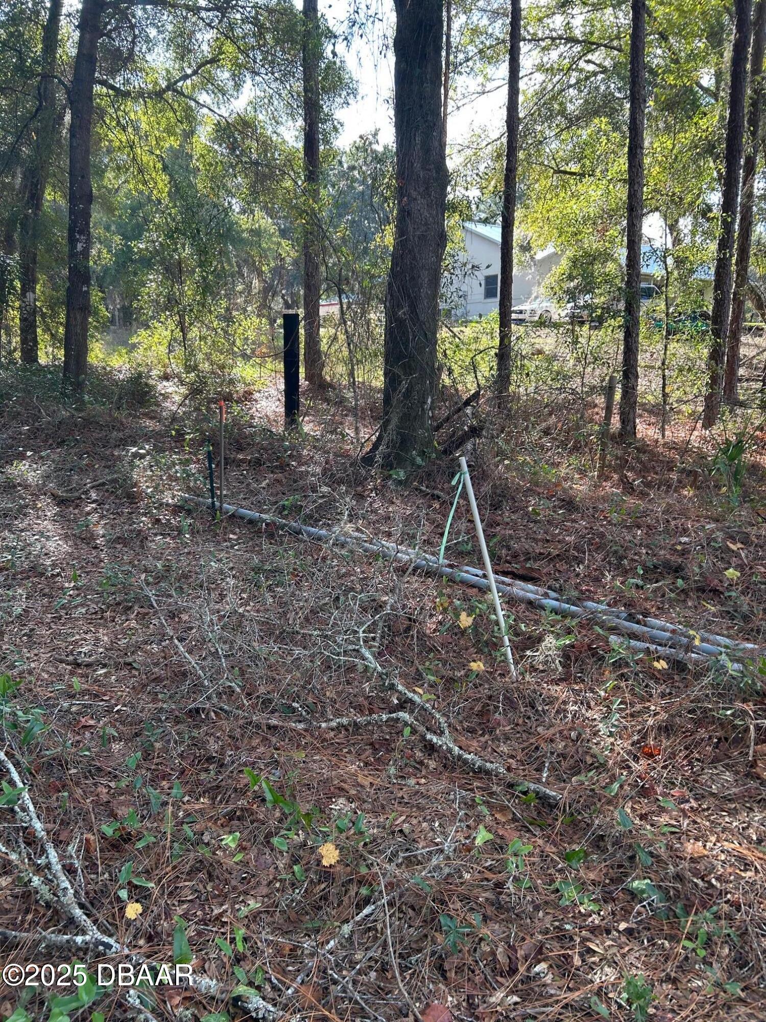 112 Peach Orchard Road Pomona Park, FL 32181 - Photo 3 of 13 a backyard of a house with lots of green space