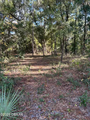 a view of dirt yard with a trees