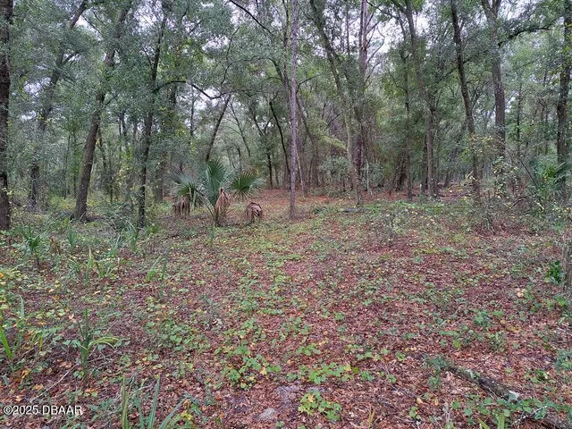 a view of a large yard with lots of green space