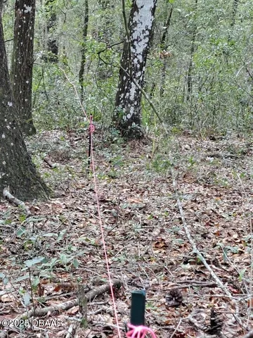 a view of a green field with lots of bushes