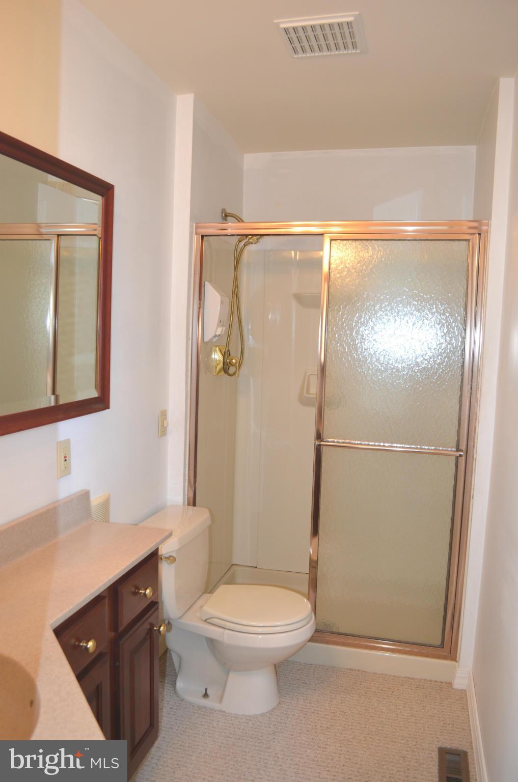 213 Garnett Road Joppa, MD 21085 - Photo 14 of 30 Master Bath w/custom vanity for function