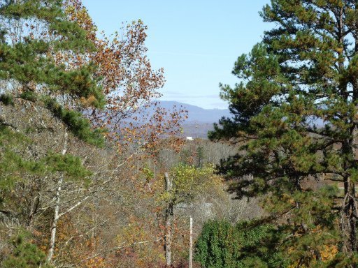 141 Rogers Ridge Road Kingston, TN 37763 - Photo 6 of 26 Additional Photo