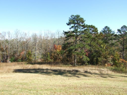 141 Rogers Ridge Road Kingston, TN 37763 - Photo 7 of 26 Additional Photo