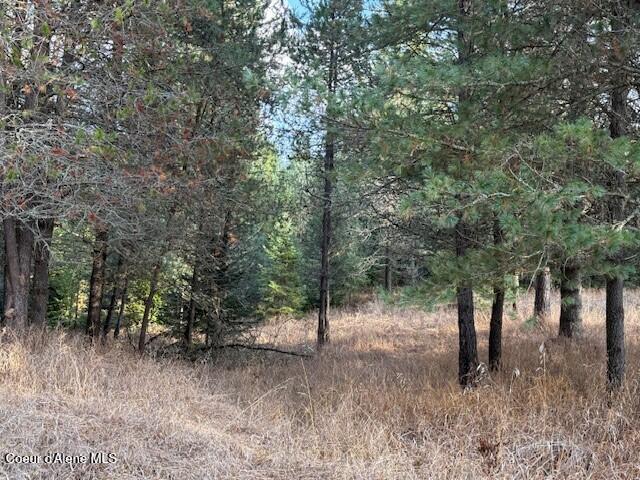 171-temp) Bear Road Priest River, ID 83856 - Photo 13 of 16 Prop drainage
