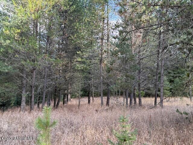 171-temp) Bear Road Priest River, ID 83856 - Photo 14 of 16 Prop left