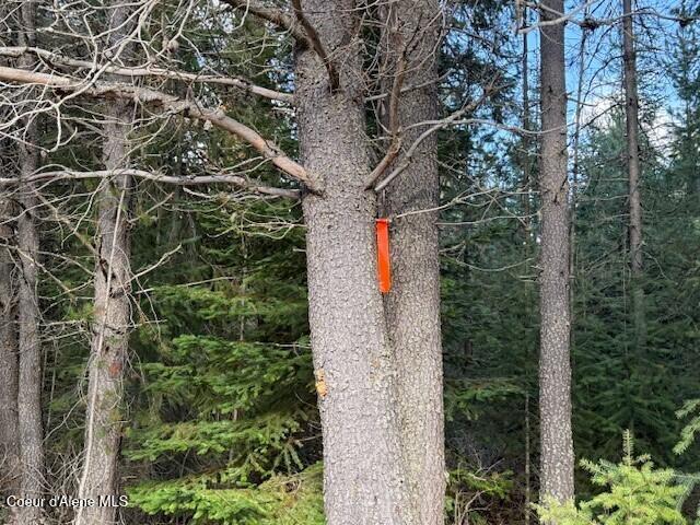 171-temp) Bear Road Priest River, ID 83856 - Photo 15 of 16 Prop right 2