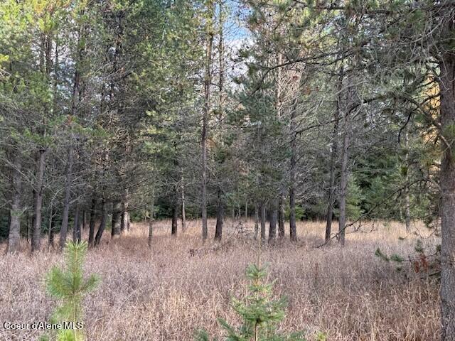 171-temp) Bear Road Priest River, ID 83856 - Photo 16 of 16 Prop right