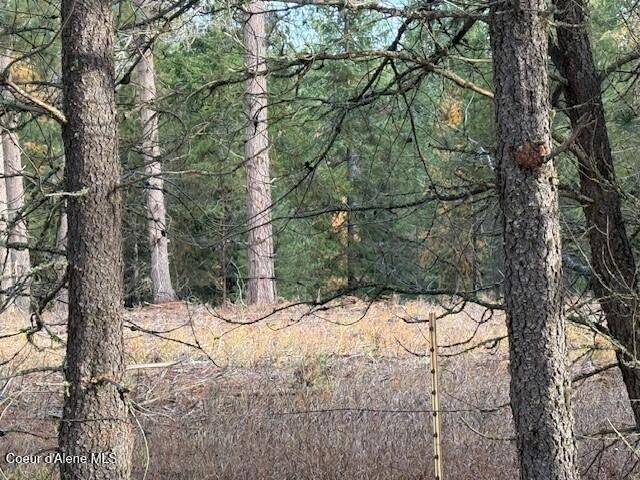 171-temp) Bear Road Priest River, ID 83856 - Photo 2 of 16 Cleared bldg site 2
