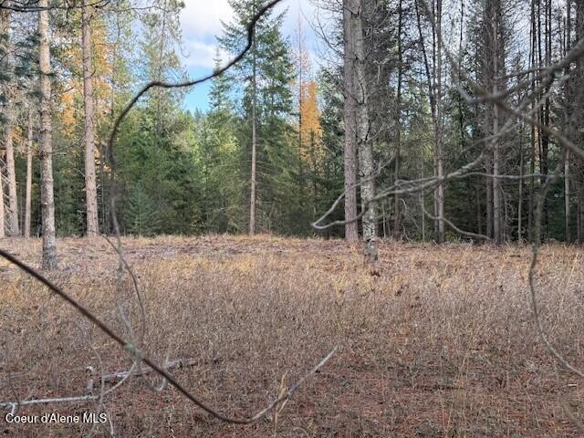 171-temp) Bear Road Priest River, ID 83856 - Photo 3 of 16 Cleared bldg site 3
