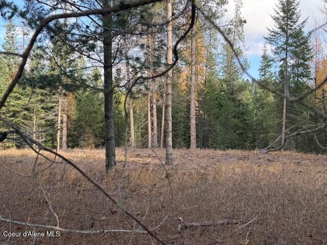 171-temp) Bear Road Priest River, ID 83856 - Photo 4 of 16 Cleared bldg site 4