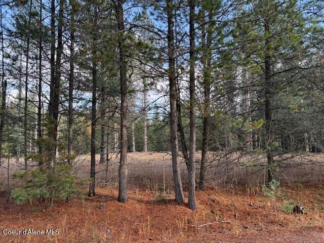 171-temp) Bear Road Priest River, ID 83856 - Photo 5 of 16 Cleared building site